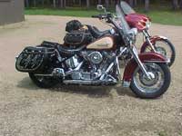 Heritage with Iron Max saddlebags - Dana - Mpls., MN