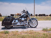 2005 Deluxe with Iron Max saddlebags - Jerry - St. John, KS