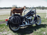 2002 Indian Spirit with Iron Thunder saddlebags - Dana - Bend, OR