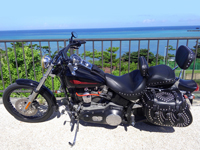 2000 FXST - Freedom Bag - Russ - Okinawa, Japan