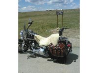 2003 Heritage - Iron Max Saddlebags - Scott, Cologne, MN