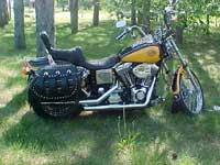 2000 Dyna WG with Iron Thunder saddlebags - Steve - Independence, WI