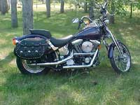 Springer with Iron Thunder saddlebags - Karla - Knapp, WI