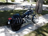 Deuce with Freedom Bag saddlebags - Pat - Batavia, IL