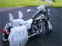 2003 Indian Chief with Iron Max saddlebags - Mark - Cato, NY