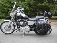 2003 Sportster with Iron Thunder saddlebags - Janet - Lynwood, WA