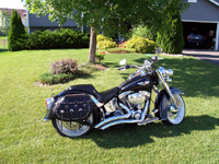 2005 Deluxe with Iron Thunder saddlebags - David - Chanhassen, MN