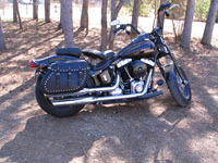 2009 Cross Bones with Freedom Bag saddlebags - Al - Eleva, WI