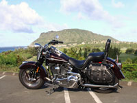 2007 Springer Classic with Freedom Bag saddlebags - James - Kailua, HI