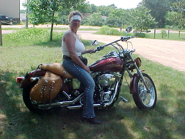 Dyna Low Rider with Station saddlebags - Barbara - Minneapolis, MN