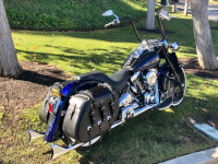 2000 Softail Springer - Iron Max Saddlebags - Joe - Valencia, CA