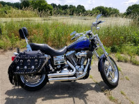 2007 Dyna LR - Freedom Bags - Wheaton, IL