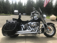 2009 deluxe - Iron Max Saddlebags - Debi - Cle Elum, WA