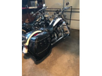 2010 Deluxe - Iron Max Saddlebags - Theresa - Palatine, IL