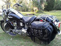 1999 Fat Boy - Iron Thunder - Susan - Inglis, FL