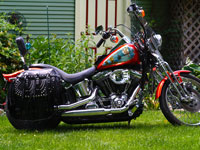 2001 Softtail Springer - Iron Thunder - Vicky - Carson City, MI