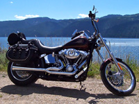 2009 Softail Custom - Iron Thunder - Rich - LaBarge, WY