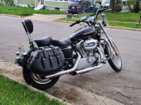 2009 Sportster - Iron Thunder Saddlebags - Scott - Hartford, WI