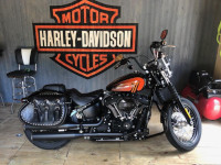 2021 Street Bob - Iron Thunder Saddlebags - Lisa - Mason, MI